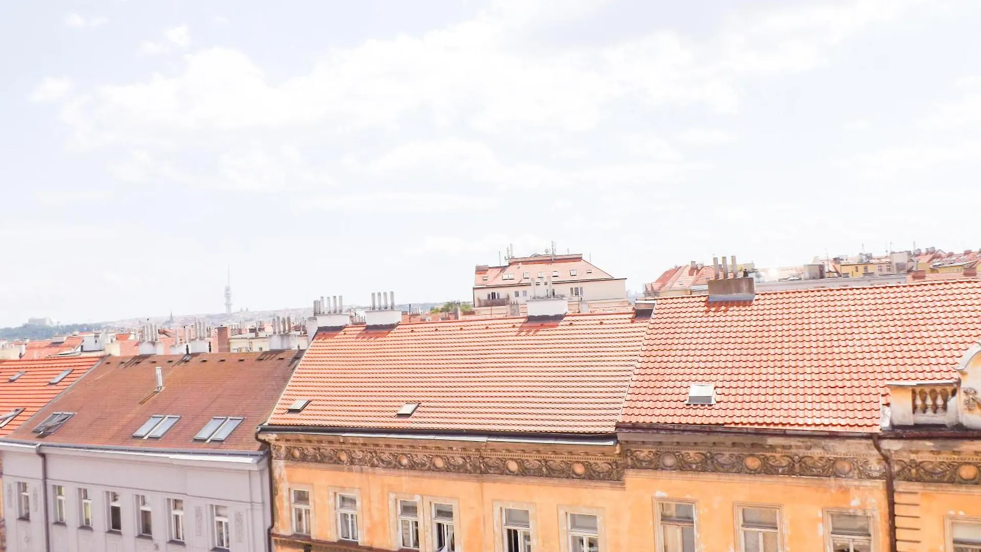 Single Room B5 In Prague 7